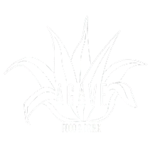 agave bar logo